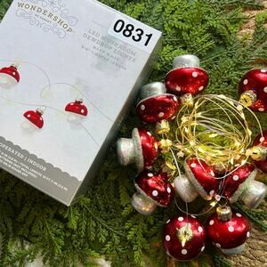 Mushroom Dewdrop Lights LED Red Warm White String Timer Battery Operated